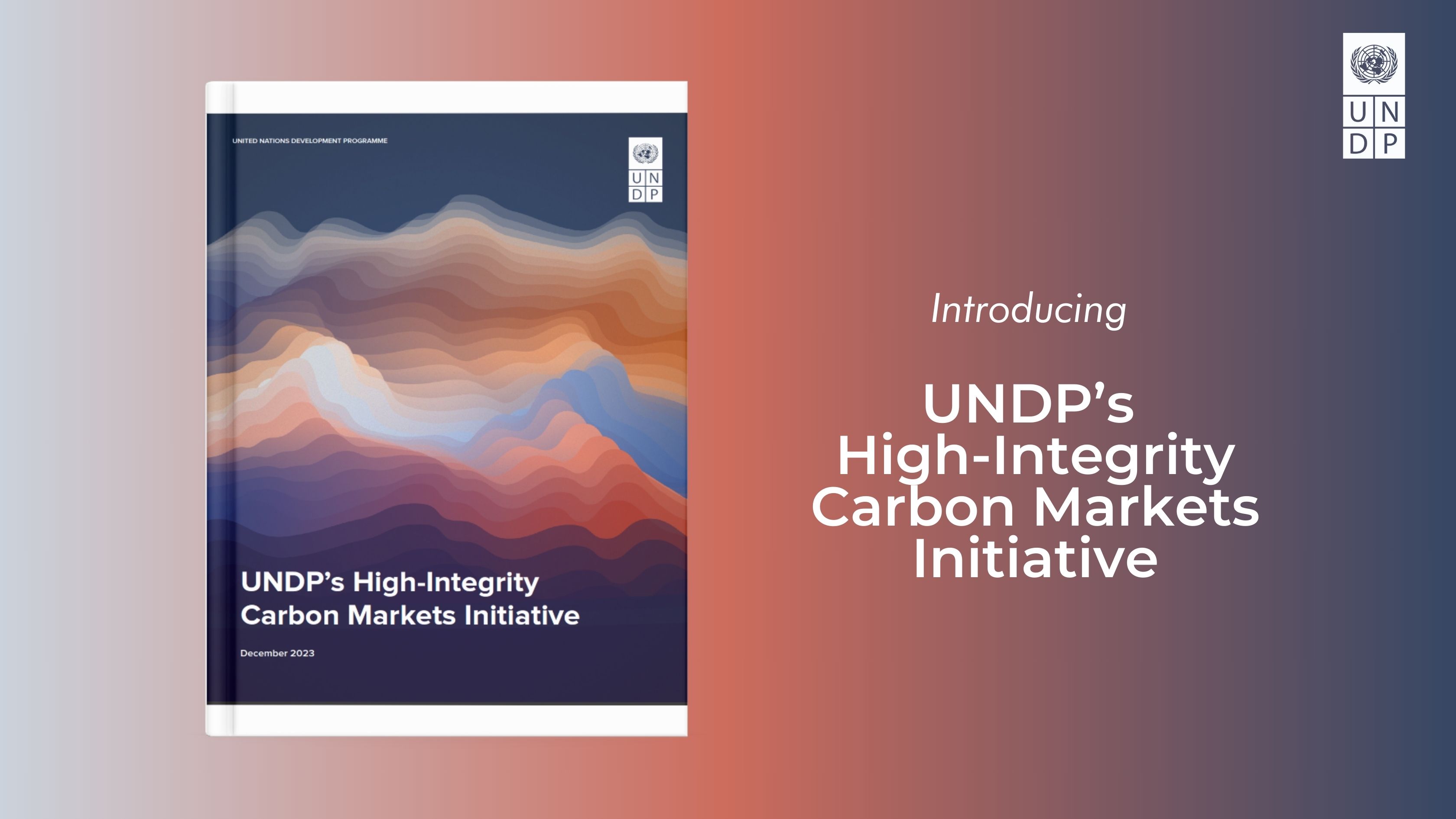 UNDP’s High Integrity Carbon Markets Initiative | Climate And Forests